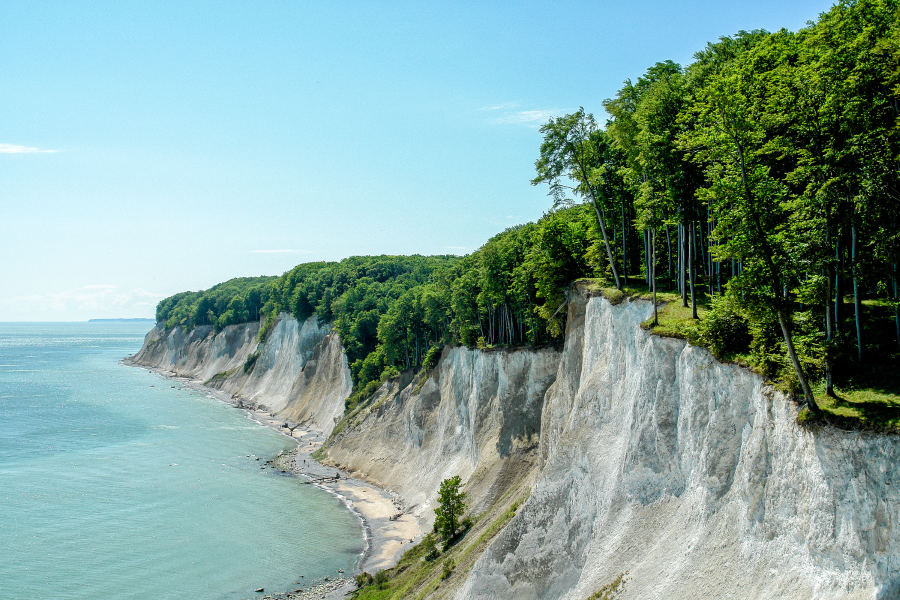 Schulklassen-Wanderung "Fossilien – Kreide – Kliff"