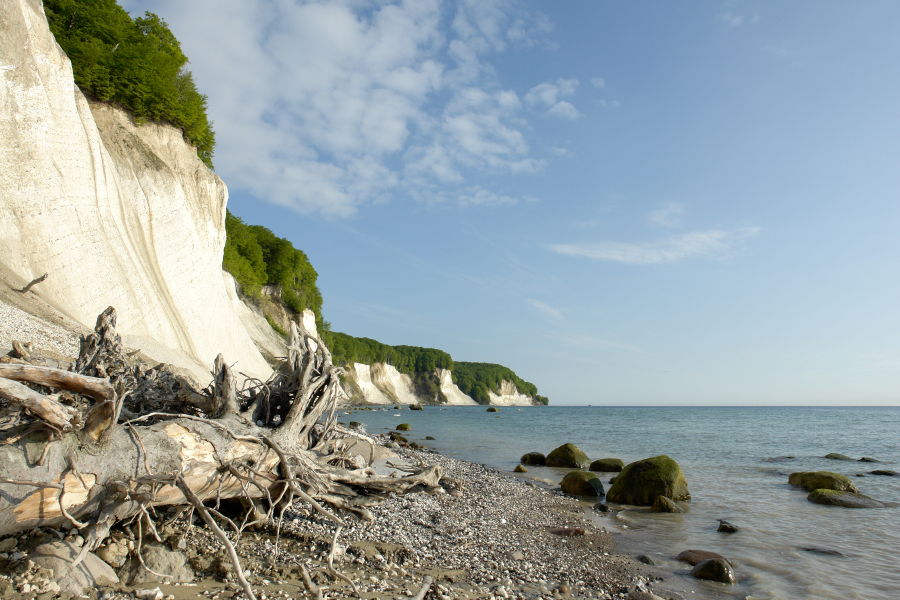 Schulklassen-Werkstatt Ostsee